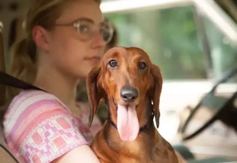 A woman with glasses and a pink patterned top sits in a car, holding a dachshund with its tongue out. The scene conveys a relaxed, joyful moment.