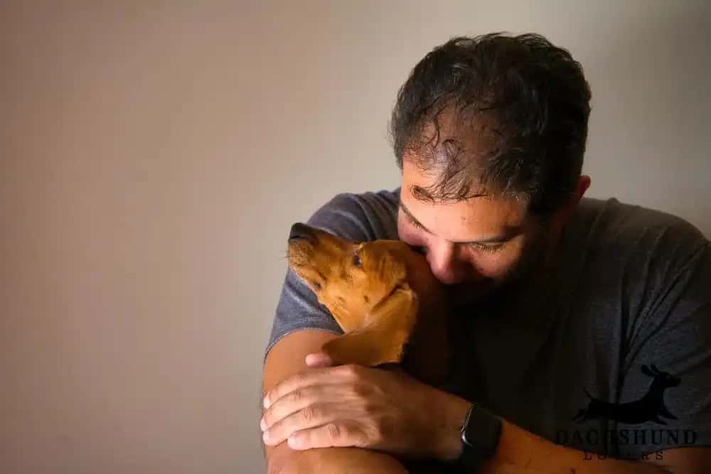 A man lovingly embraces a brown dachshund puppy, nuzzling his face against its head.