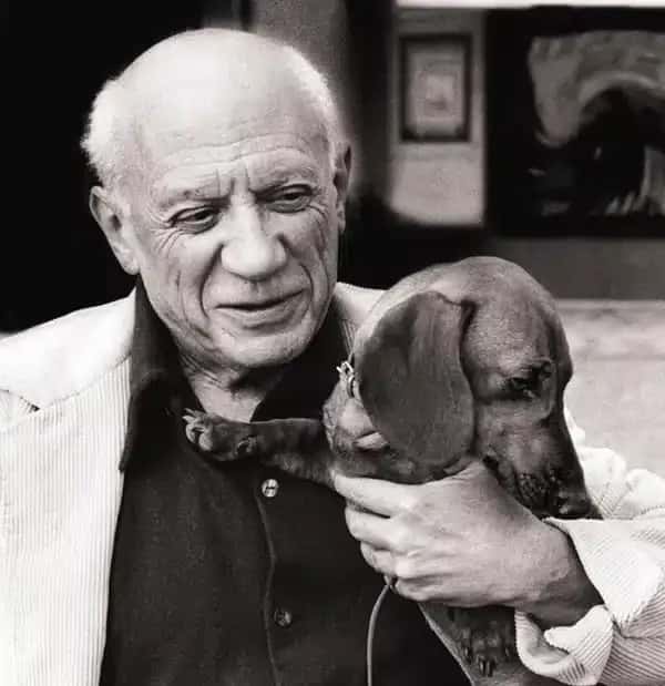 Picasso's Sausage Dog