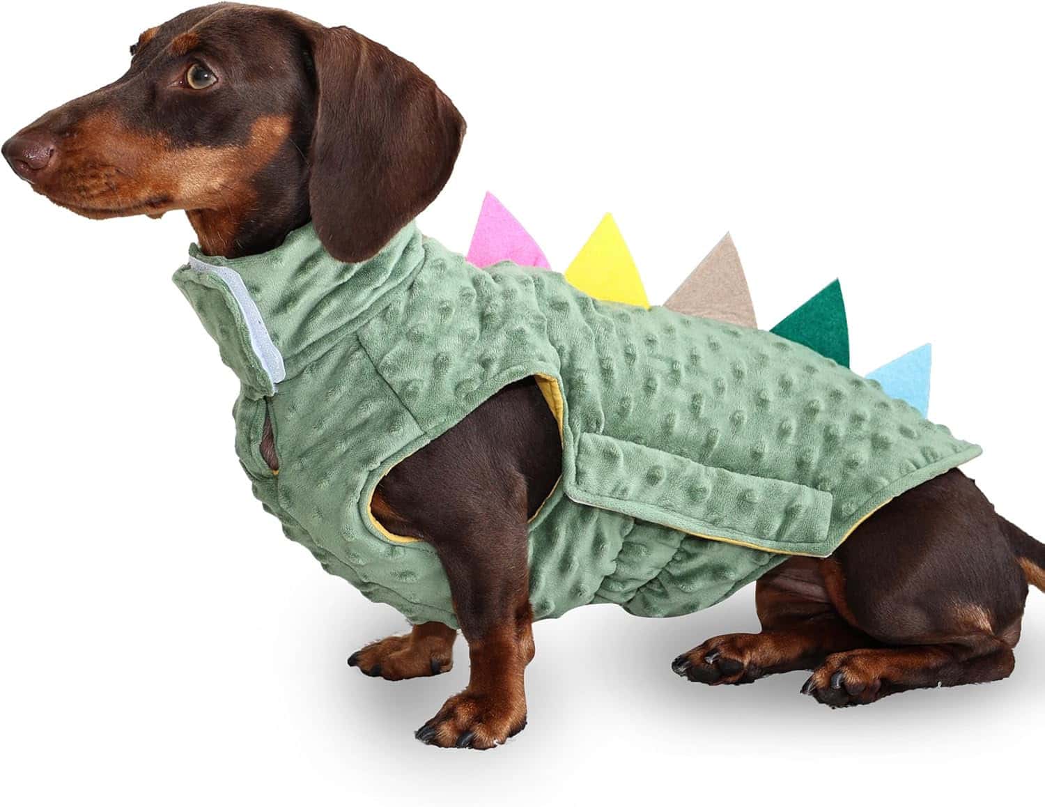 Dinosaur Dachshund Dog Shirt Green Dinosaur Dachshund