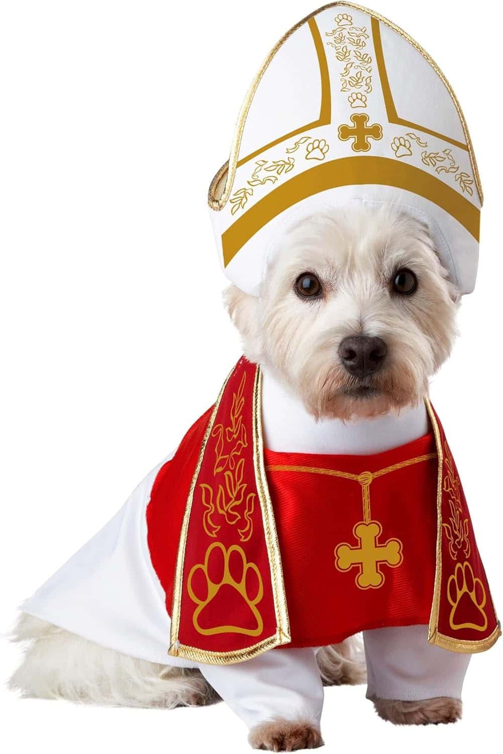 Holy Hound Dog Costume Rubies