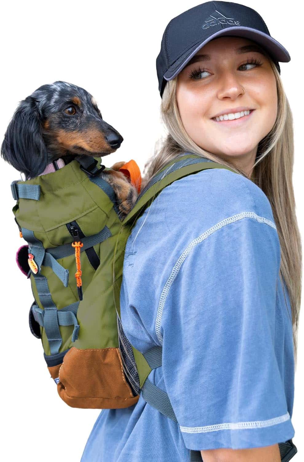 picture of a dachshund being carried on the backpack