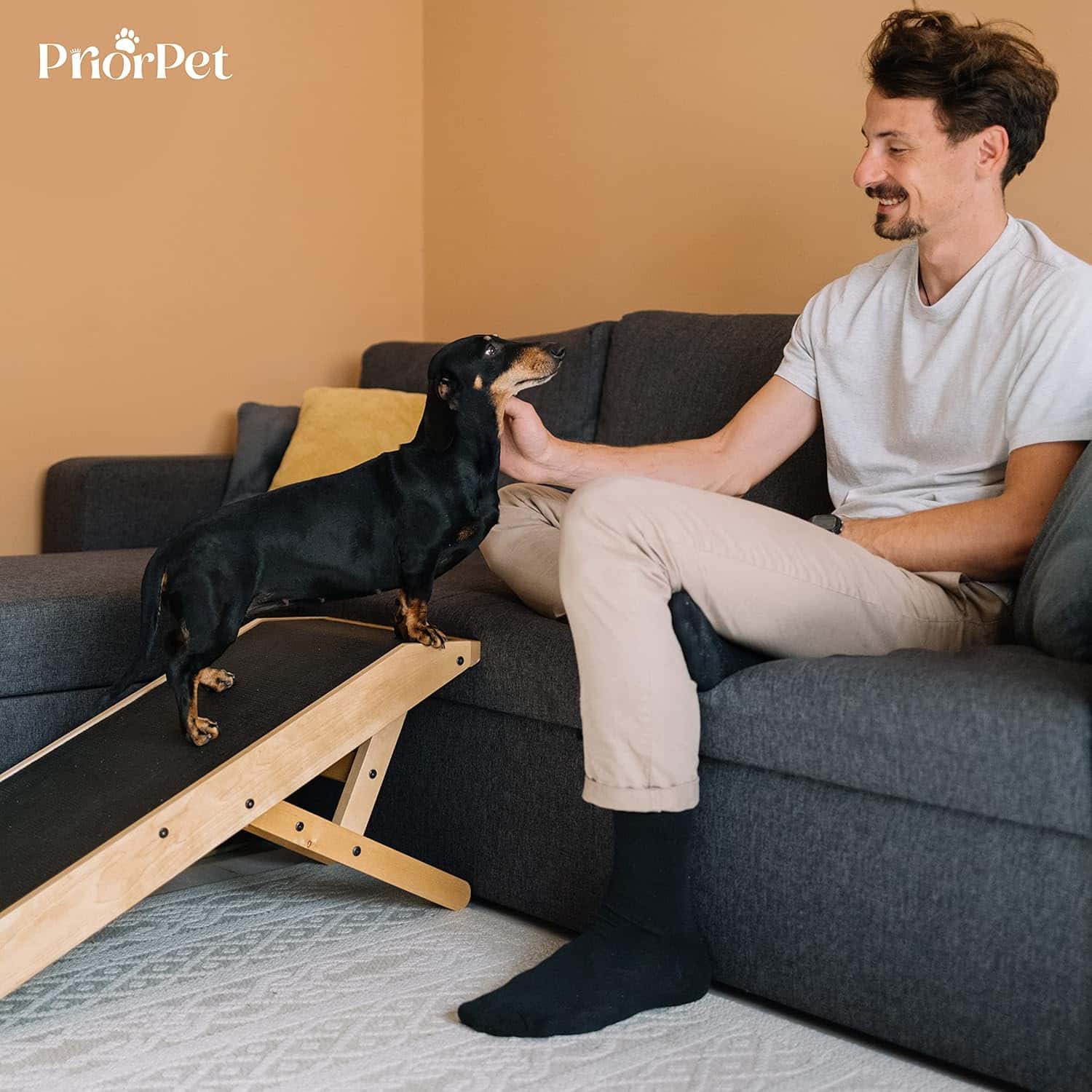 Prior Pet Ramp Dachshund